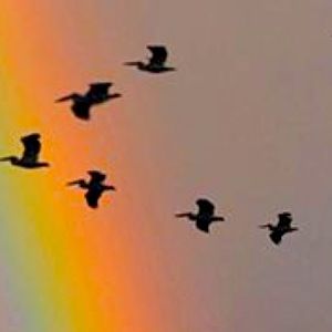 Meet your Posher, Riiniixriini